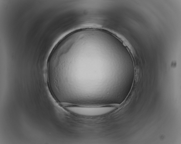 X0000093761295200711061102