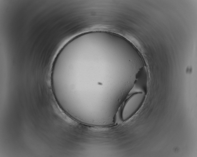 X0000093761296200711061102