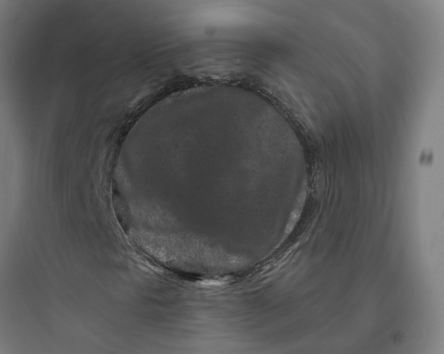 X0000093761297200711061101