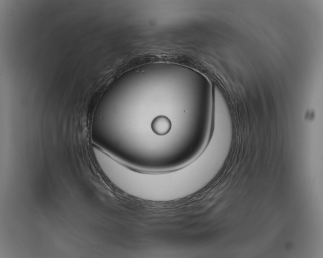 X0000093761298200711061101