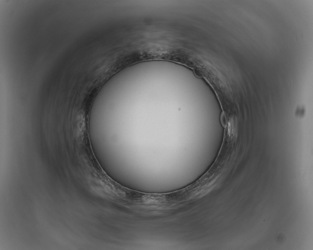 X0000093761299200711061101