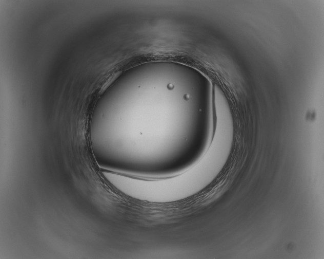 X0000093761300200711061101