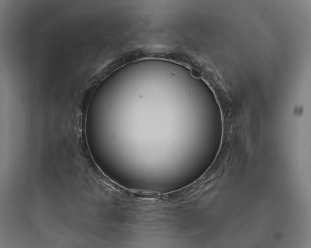 X0000093761301200711061101