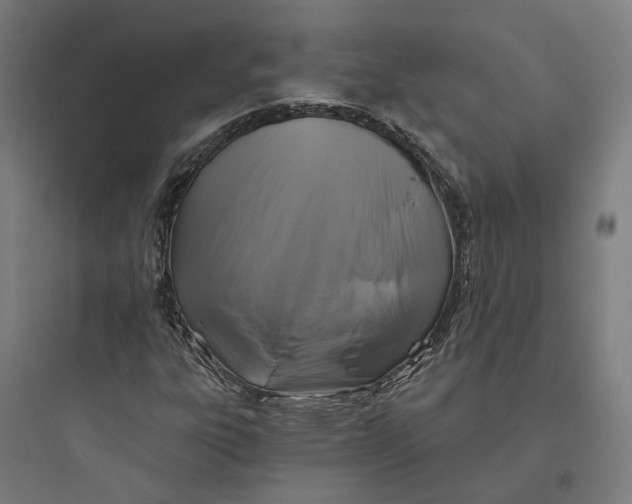 X0000093761303200711061101