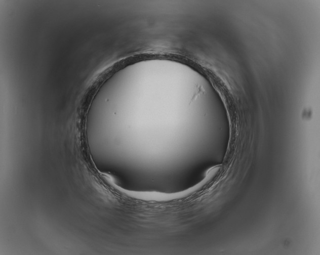 X0000093761304200711061101