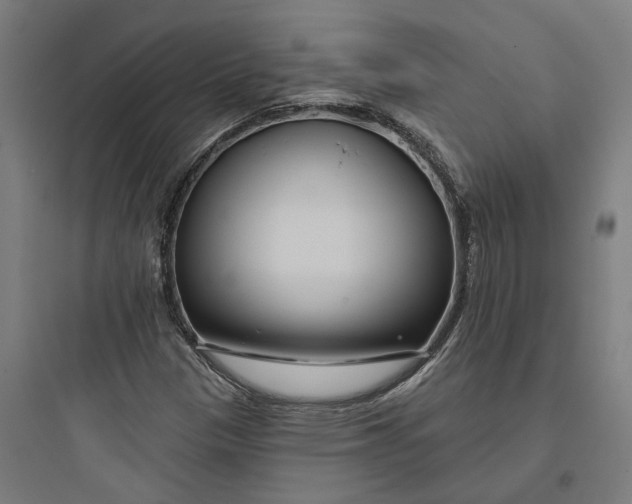 X0000093761305200711061101