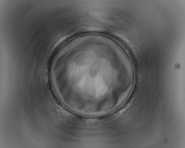 X0000093761306200711061101