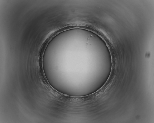 X0000093761307200711061101