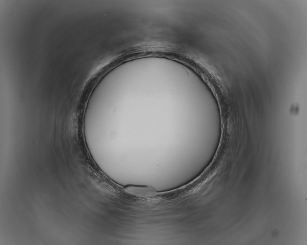 X0000093761309200711061101