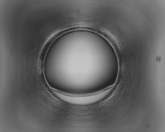 X0000093761310200711061101