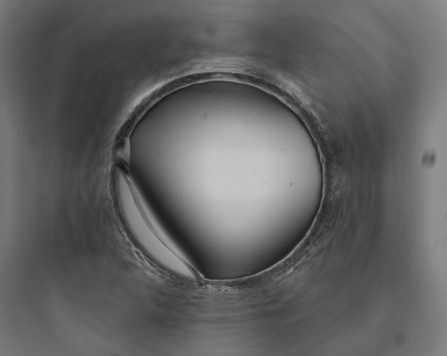 X0000093761312200711061102