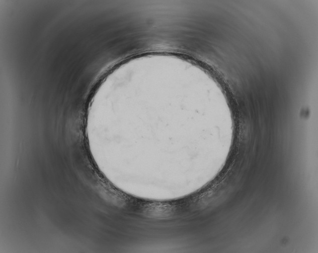 X0000093761314200711061102