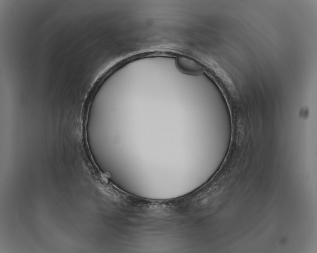 X0000093761316200711061102