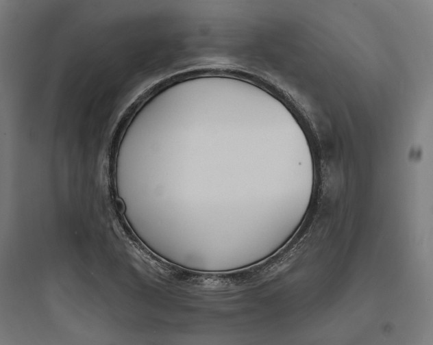 X0000093761318200711061102