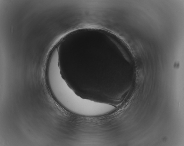 X0000093761319200711061102