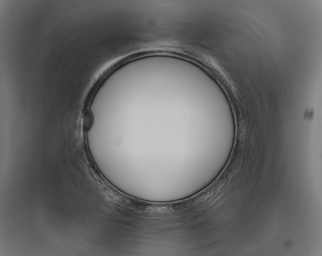 X0000093761320200711061102