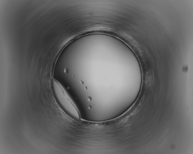 X0000093761321200711061102