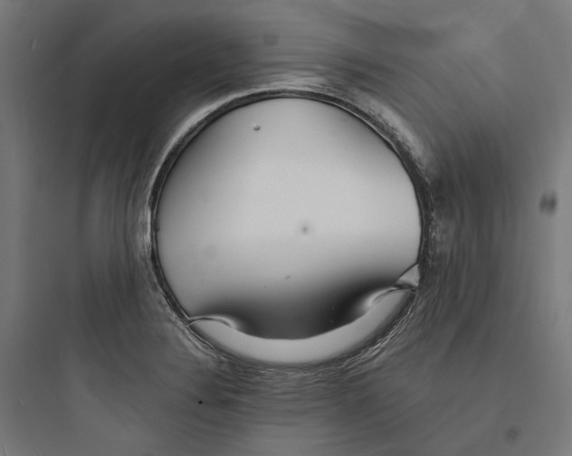 X0000093761324200711061102