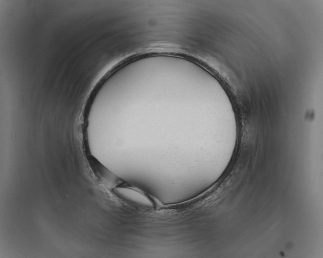 X0000093761325200711061102