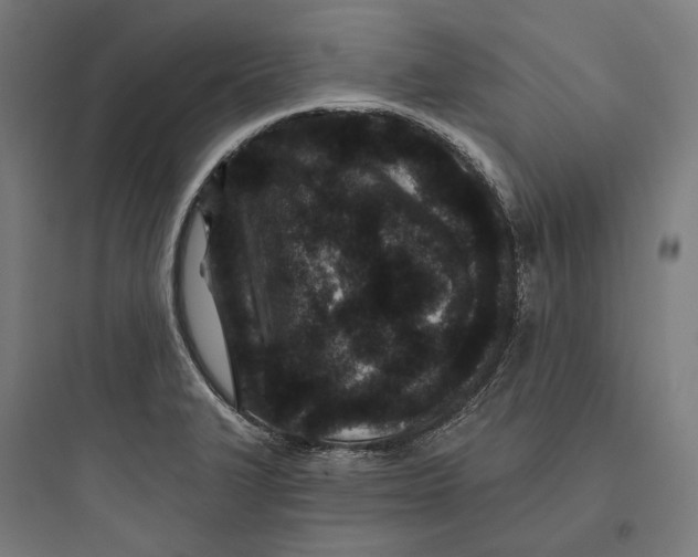 X0000093761327200711061102