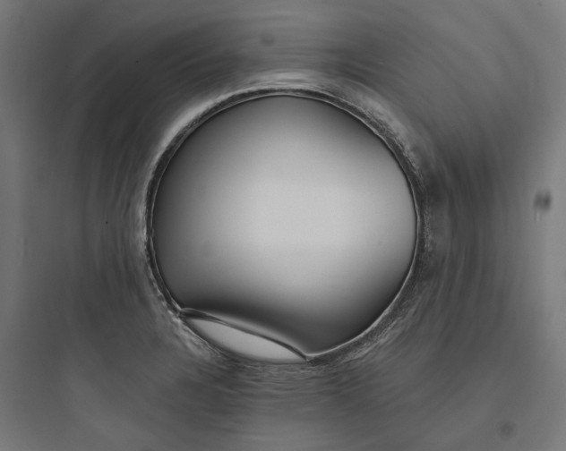 X0000093761328200711061102