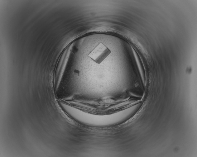 X0000093761329200711061102