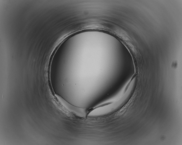 X0000093761330200711061102