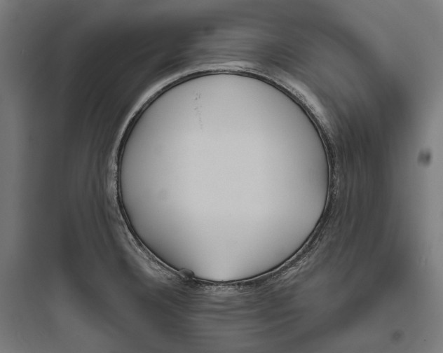 X0000093761332200711061102