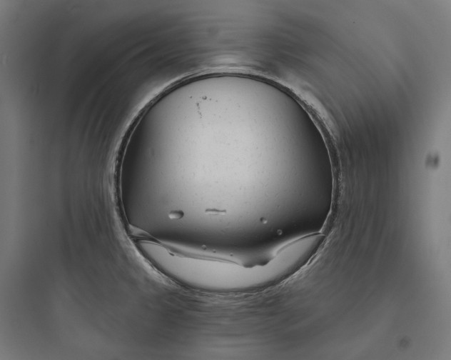 X0000093761333200711061102