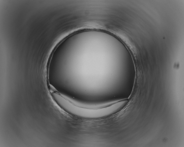 X0000093761335200711061102