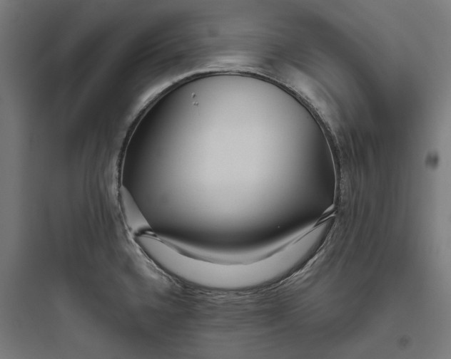 X0000093761336200711061102