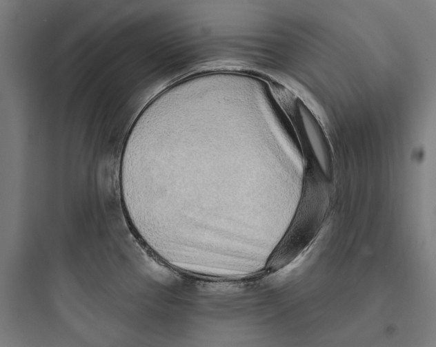 X0000093761337200711061102