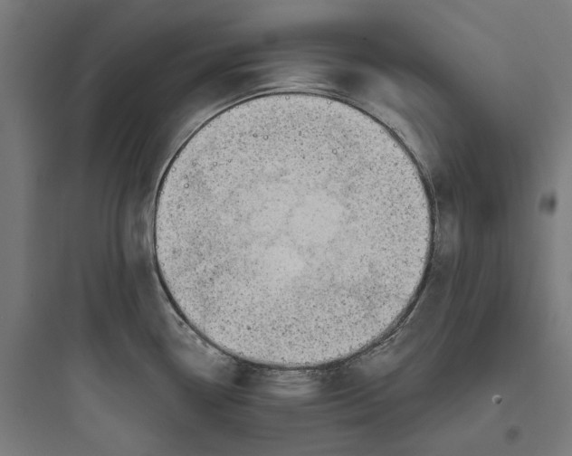 X0000093761338200711061102