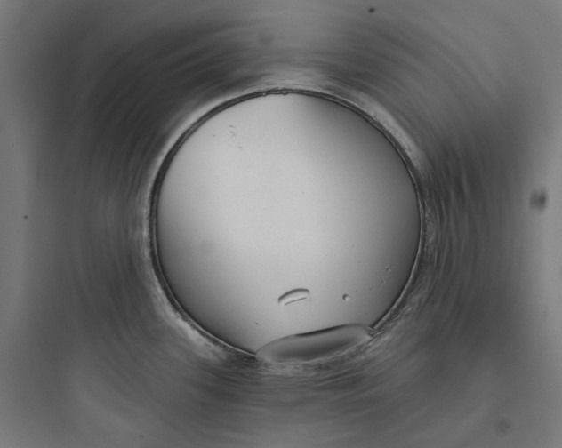 X0000093761339200711061102