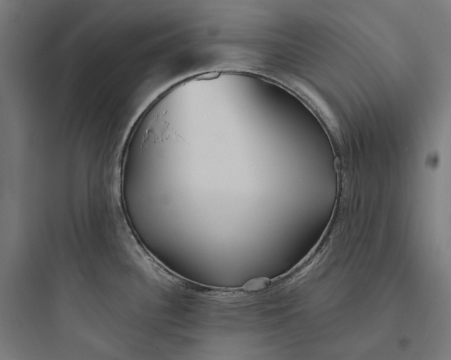 X0000093761340200711061102