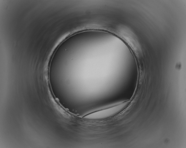 X0000093761342200711061102