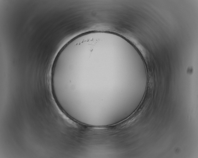 X0000093761343200711061102