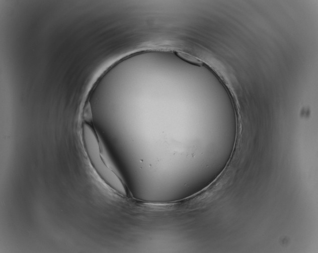 X0000093761344200711061102