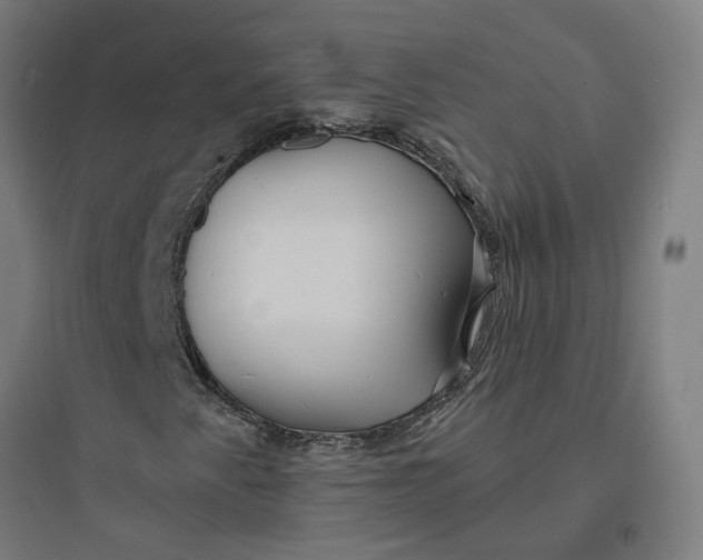 X0000093761345200711061101