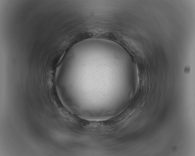 X0000093761346200711061101