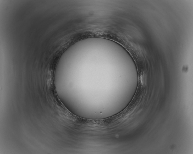 X0000093761347200711061101