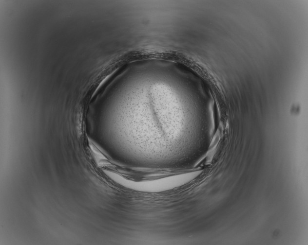 X0000093761348200711061101