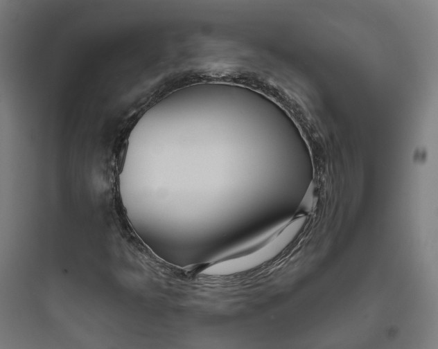 X0000093761349200711061101