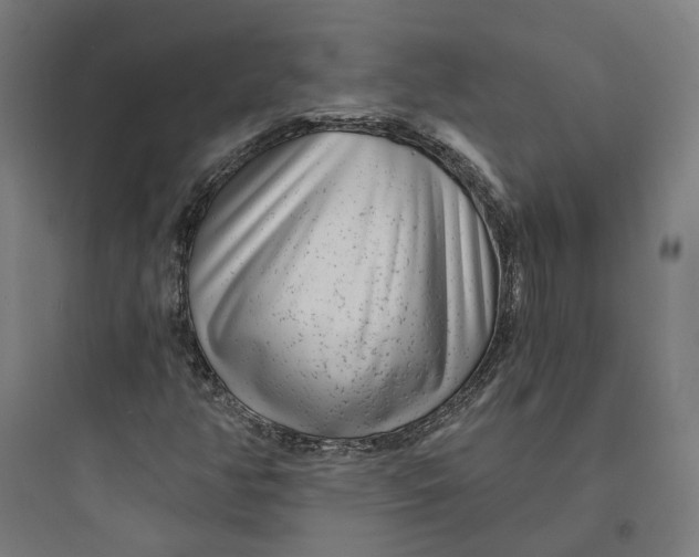 X0000093761350200711061101