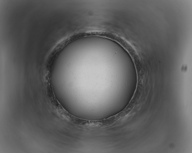 X0000093761351200711061101