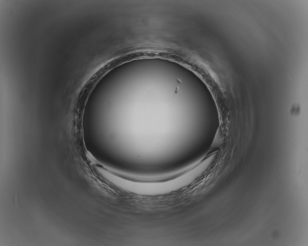 X0000093761352200711061101