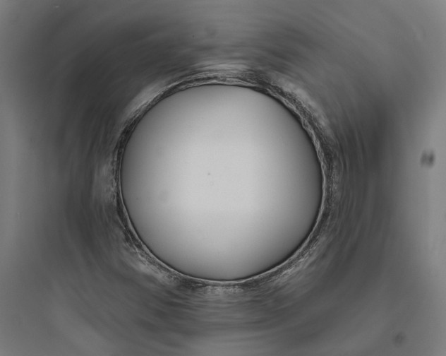 X0000093761354200711061101