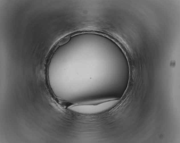 X0000093761356200711061101