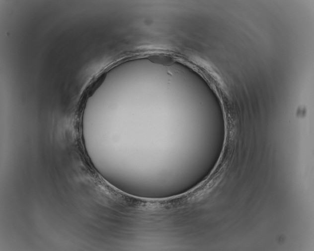 X0000093761357200711061101