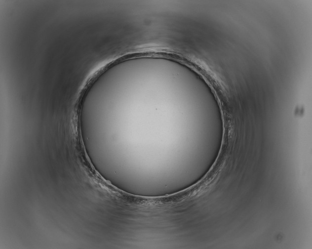 X0000093761358200711061101